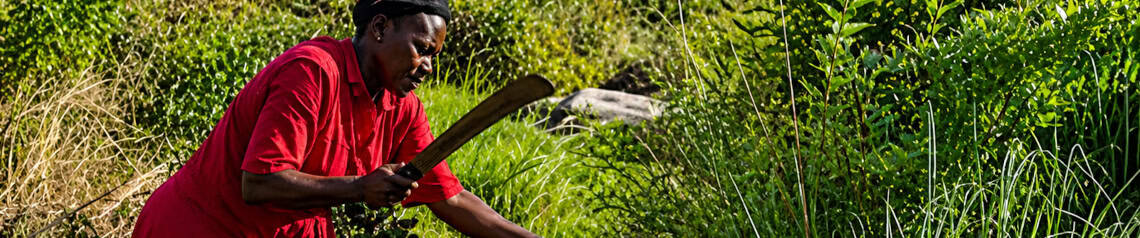 A man clearing 13 acres of land for coffee and banana cultivation at Pearl Global Ministries. This effort supports sustainable agriculture and community development initiatives.