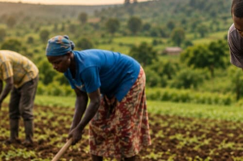 Group of diverse farmers working together in a lush green field, planting and tending crops to promote sustainable agriculture and community development.