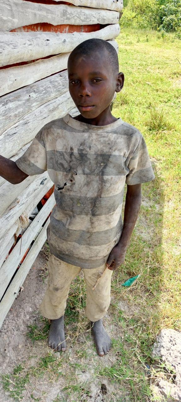 Young boy standing outdoors near a wooden wall, wearing a striped t-shirt and beige shorts, with a grassy background.
